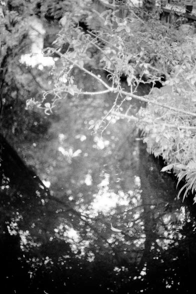 Lucky LUCKY SHD 400 (FF)

English
A black-and-white photograph of a serene pond surrounded by dense foliage. Tree branches with sparse leaves extend over the water, creating a partially shaded surface. The water is calm, with scattered light reflections and floating debris, possibly leaves or petals. The background is filled with thick vegetation, giving a sense of a secluded, natural setting.
中文
一张黑白照片，展现了一个宁静的池塘，周围环绕着茂密的植被。树枝上稀疏的叶子延伸至水面上方，形成部分阴影。水面平静，散落着光线的倒影以及漂浮的碎片，可能是叶子或花瓣。背景充满浓密的植被，营造出一种隐世…