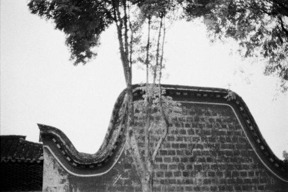 Lucky LUCKY SHD 400 (FF)

English
Black-and-white photograph of a traditional Chinese building with a curved, tiled roof. Tall, thin trees with bare branches rise in front of the building, partially obscuring the view. The roof's curved edges and detailed tiling are visible, and the scene is framed by the contrast between the dark roof and the lighter sky.
中文
黑白照片，展现了一座中国传统建筑，屋顶弯曲并铺有瓦片。建筑前方有几棵高大、细长的树，光秃的树枝部分遮挡了视线。屋顶的弯曲边缘和细节丰富的瓦片清晰可见，画面通过深色屋顶与浅色天空的对比构图。
