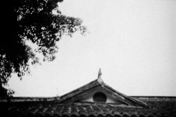 Lucky LUCKY SHD 400 (FF)

##English
A black-and-white photograph featuring the upper portion of a traditional East Asian building. The roof is tiled, with a small circular window centered in the gable. The edges of the roof curve upward slightly, and a finial ornament is visible at the peak. In the background, the sky is clear, and the silhouette of tree branches frames the top left corner.
##中文
一张黑白照片，展示了一座传统东亚建筑的上部。屋顶铺有瓦片，山墙中央有一个小圆窗。屋顶边缘略微向上翘起，屋脊处有一个饰物。背景是晴朗的天空，左上角有树枝的剪影。