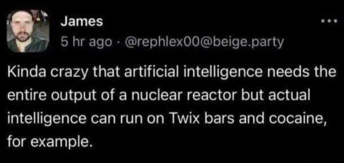 Kinda crazy that artificial intelligence needs the entire output of a nuclear reactor but actual intelligence can run on Twix bars and cocaine, for example.