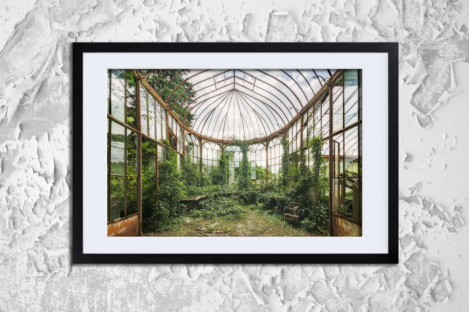 Photo of abandoned overgrown greenhouse, in a black frame