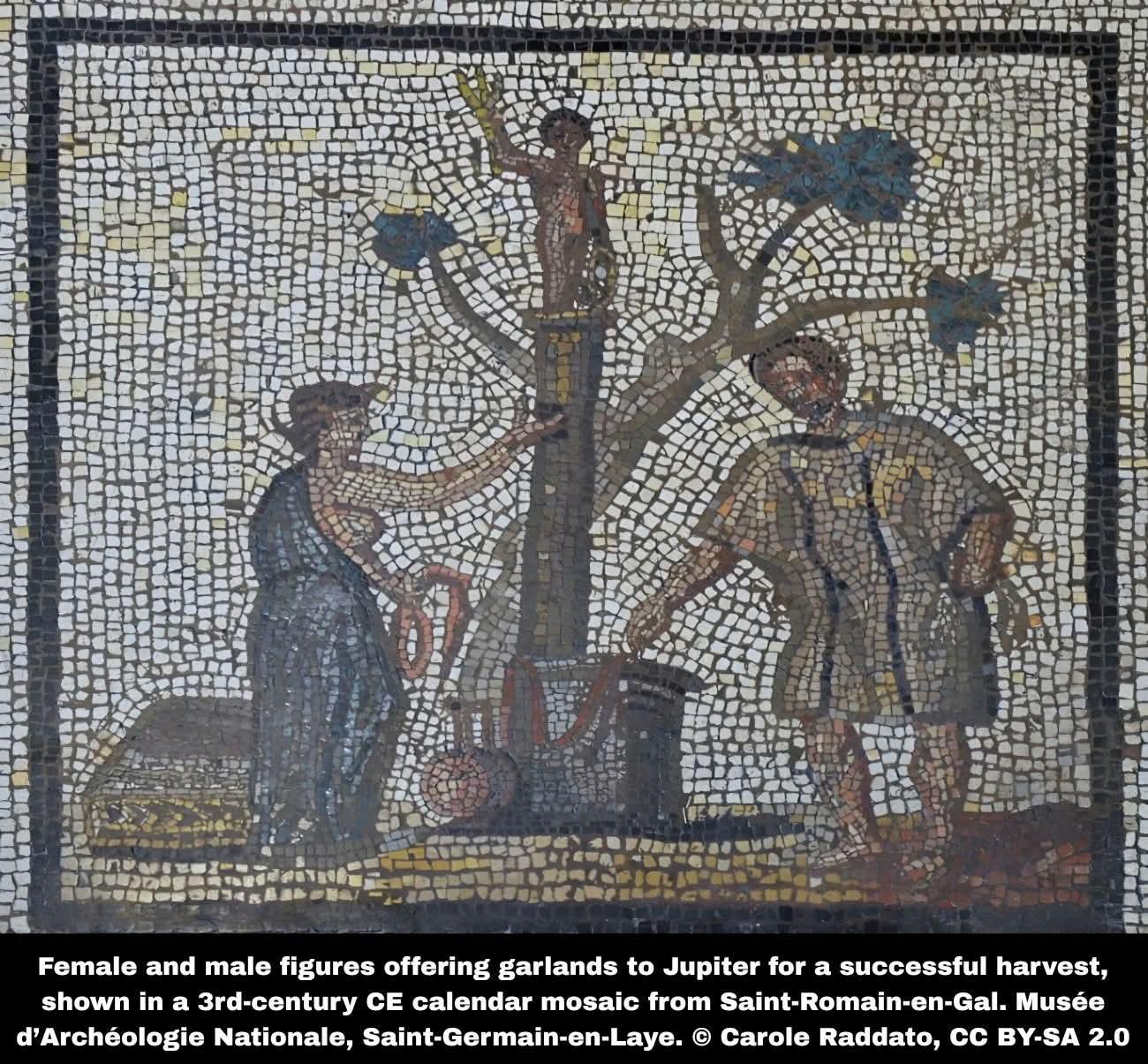 Roman women managed wine and olive oil production on ancient farms, study finds