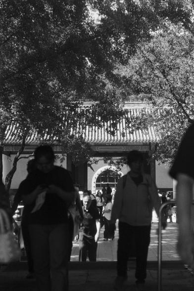 Ilford FP4 Plus 125 (FF)

English
Black-and-white photograph of a traditional Chinese temple entrance. The scene is framed by a large tree with a dense canopy, under which people are walking. The temple entrance features a tiled roof with decorative elements, and the path leading to it is bustling with visitors.
中文
这张黑白照片展示了中国传统寺庙的入口。场景被一棵树冠茂密的大树所框住，树下有人行走。寺庙入口处有一个装饰性元素的瓦屋顶，通往入口的小径上游人如织。