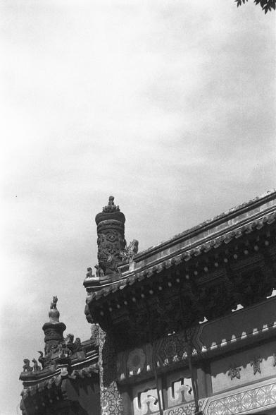 Ilford FP4 Plus 125 (FF)

English
Black-and-white photograph focusing on the intricate details of the top of a traditional Chinese arch gateway. The image highlights the ornate carvings, upturned eaves, and decorative elements on the roof's surface. The angle emphasizes the craftsmanship and artistic design of the structure.
中文
这张黑白照片聚焦于中国传统牌坊顶部的精美细节。图像突出了屋顶表面精美的雕刻、翘起的屋檐和装饰性元素。拍摄角度强调了建筑的工艺和艺术设计。