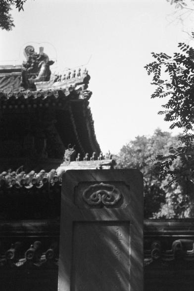 Ilford FP4 Plus 125 (FF)

English
Black-and-white photograph of a traditional Chinese temple roof. The image captures intricate architectural details, including ornate carvings, upturned eaves, and small figurines lining the roof's edge. A tall, carved stone pillar with a cloud-like design is prominently featured in the foreground. Trees and foliage are visible in the background, adding depth to the scene.
中文
这张黑白照片展示了中国传统寺庙的屋顶。图像捕捉了精美的建筑细节，包括精美的雕刻、翘起的屋檐以及屋顶边缘排列的小雕像。前景是一根高大的石柱，上面雕刻着云状图案。背景中可见树木…