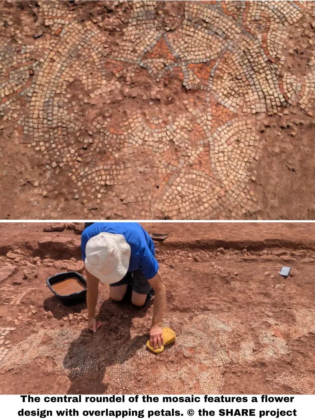 Roman villa with rare polychrome mosaic and bathhouse uncovered beneath Devon farmland