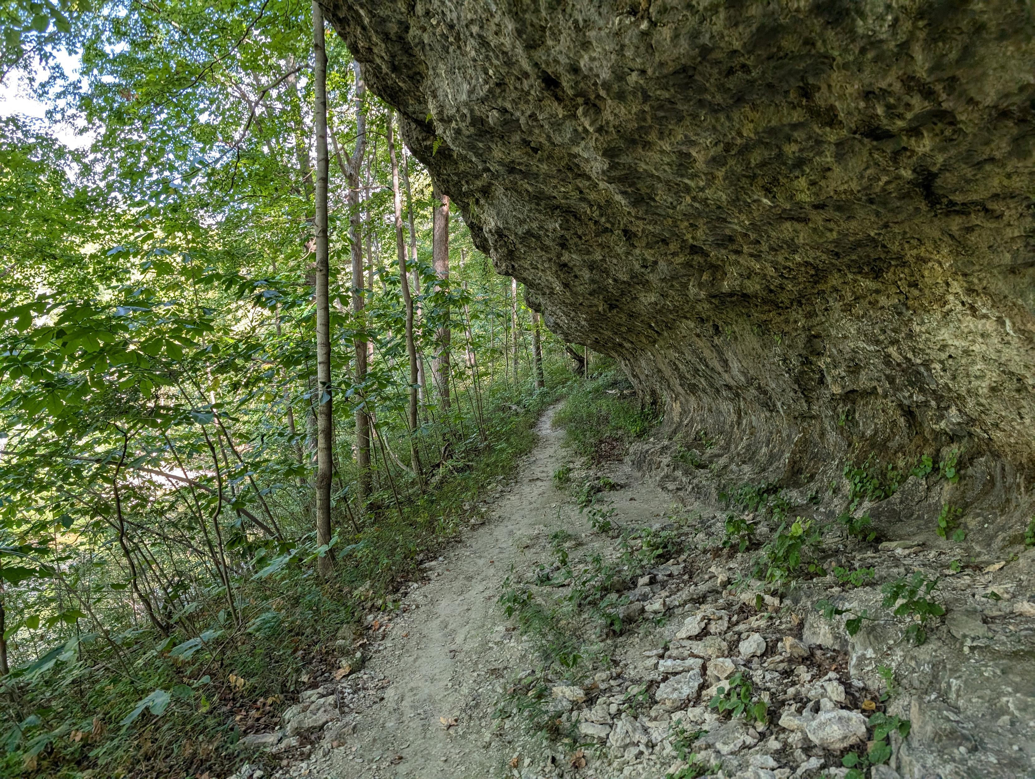 A bare dirt track skirts the base of an overhanging cliff on the right side, and on the left, the ground falls off sharply, with lots of small trees lining the hill.