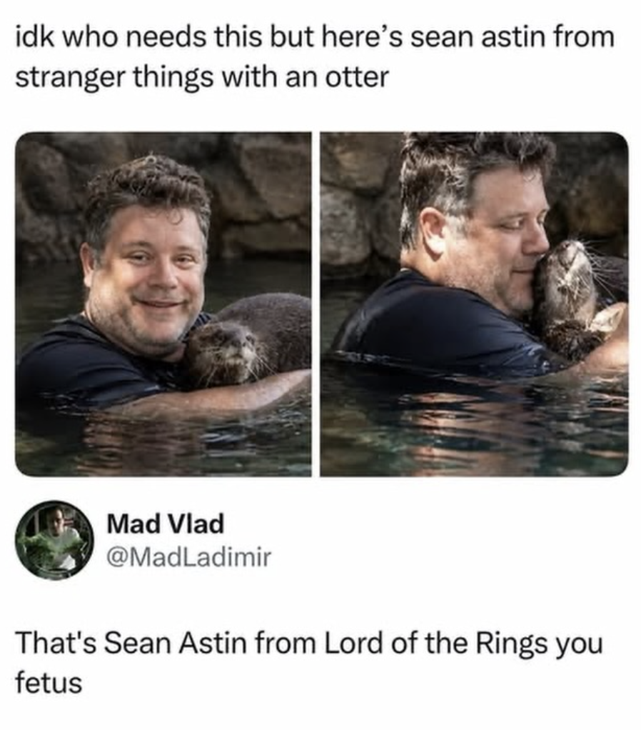 social media post showing Sean Astin swimming with an otter. Poster refers to him from Stranger Things and is corrected by "MadVlad" remarking the he is the actor from Lord of the Rings, and then calls the original poster "a fetus".