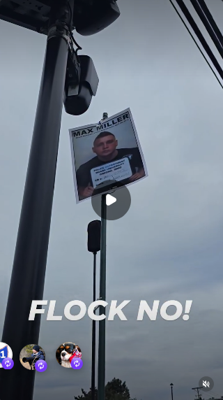 Protestors are holding a sign on a pole in front of a Flock surveillance camera. There's a mug shot of MAGA Rep. Max Miller, who has committed domestic violence and is still serving with the full support of the Republican caucus in Congress.