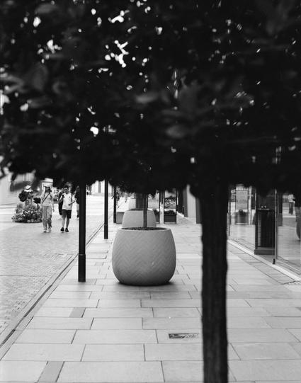 Lucky LUCKY SHD 400 (6x7)

English
A black-and-white photograph of a pedestrian walkway lined with trees. In the foreground, there are two large, textured planters. People are walking in the background, and the path is paved with light-colored tiles.
中文
黑白照片，展示了一条两侧种有树木的行人走道。前景有两个大型的纹理花盆。后方有人在行走，道路由浅色瓷砖铺成。