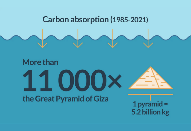 to understand the scale of just how much excessive CO2 has entered into our oceans, this is a good resource to start. > 

https://marine.copernicus.eu/ocean-climate-portal/ocean-carbon-uptake

we must pivot into non-fossil energy, because You and I are stewards for the next generation, whoever they may be.

#earth #environment
