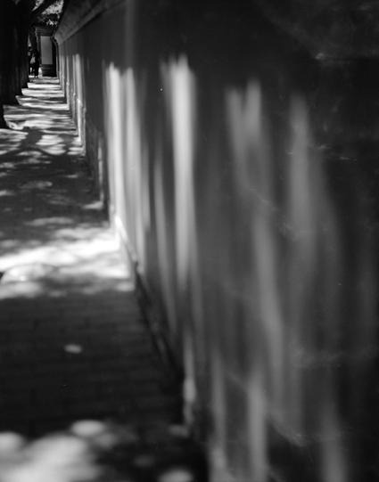 Lucky LUCKY SHD 100 (6x7)

English
A black-and-white photograph of a half covered walkway on the right side. The wall casts long, dramatic shadows on the ground, creating a rhythmic pattern of light and dark stripes. The walkway extends into the distance, with sunlight filtering through the trees, adding a dappled effect to the scene.
中文
一张黑白照片，展示了一个有一些遮蔽的走廊，右侧在地面上投射出长长的、戏剧性的阴影，形成明暗相间的节奏图案。走廊向远处延伸，阳光透过树木的缝隙，为场景增添了斑驳的光影效果。