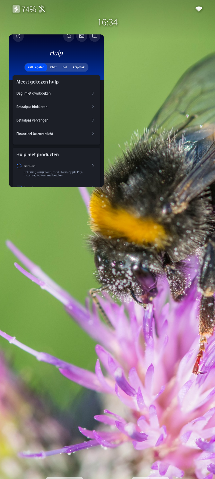 Screencopy of my Jolla C2 with most part the background: a bumblebee on a Cirsium palustre. The minimized app is the Rabo app of Rabobank, a Dutch bank.