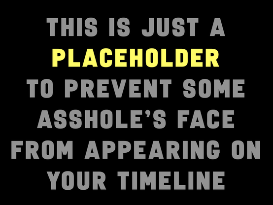 Black square with grey and yellow text saying "THIS IS JUST A PLACEHOLDER TO PREVENT SOME ASSHOLE'S FACE FROM APPEARING ON YOUR TIMELINE"