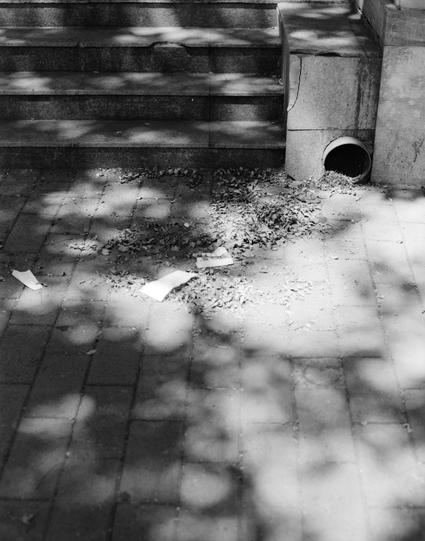 Lucky LUCKY SHD 100 (6x7)

English
A black-and-white photograph of a paved area with scattered debris, including dried leaves and a few pieces of paper. The pavement consists of square tiles arranged in a grid pattern. To the right, there is a circular opening in a stone structure, possibly a drain or pipe. Shadows from nearby trees or objects are cast across the pavement.
中文
一张黑白照片，展示了一个铺砌区域，地面上散落着干树叶和几张纸片。地面由方形瓷砖按网格图案铺成。右侧有一个石结构中的圆形开口，可能是一个排水口或管道。地面上投射着附近树木或物体的影子。