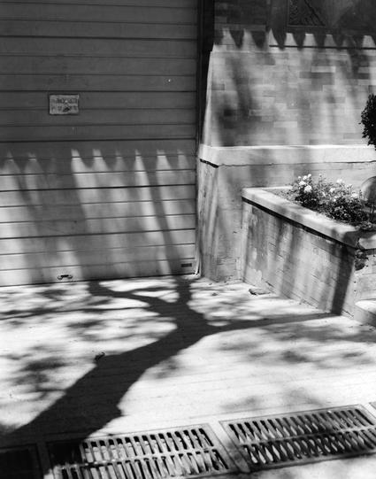 Lucky LUCKY SHD 100 (6x7)

English
A black-and-white photograph of a corner of a building exterior. The left side features a garage door with a small rectangular sign mounted on it. The ground is paved with light-colored tiles, casting distinct shadows from nearby trees or objects. To the right, there is a brick wall with a concrete ledge with plants in it. A metal grate is embedded in the pavement near the bottom right corner.
中文
一张黑白照片，拍摄的是建筑外墙的一个角落。左侧是卷帘门，上面安装有一个小矩形标志。地面铺有浅色瓷砖，附近树木或物体的影子清晰地投…