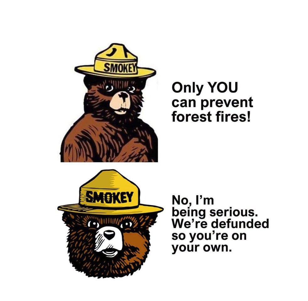 Cartoon in two panels.

Top panel shows Smokey Bear, the National Parks Service and US Forest Service mascot of the ongoing Wildfire Prevention Campaign that opened in 1944.

The text beside the image reads "Only you can prevent forest fires!"

Second panel just the head of Smokey, larger. This text reads "No, I'm serious. We're being definded so you're on your own."
