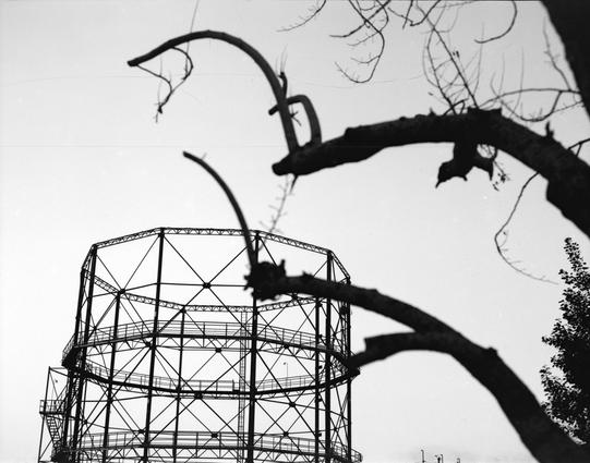Lucky LUCKY SHD 100 (6x7)

English alt text: Black-and-white photo. In the lower left, there is a metal grid or framework with many straight bars forming a rectangular shape. The framework looks like a small structure seen through foliage. In the right half, large arch-shaped branches and smaller twigs are in the foreground, partially covering the metal structure. The background is bright and mostly empty sky with thin branches and leaves.
中文 alt text： 黑白照片。画面左下有一段金属网格或框架结构，里面由许多直线杆组成，整体呈矩形。这个框…