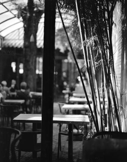 Lucky LUCKY SHD 100 (6x7)

English alt text: Black-and-white photo indoors or under a roof. In the foreground on the right, there are tall, thin bamboo stalks with visible nodes. The bamboo stalks are sharp and close to the camera. In the middle distance, there are several tables and chairs, but they are blurred, creating a sense of depth. Vertical wooden or structural elements frame the space. Bright light comes from the left side, and the background people, if present, are indistinct due to b…
