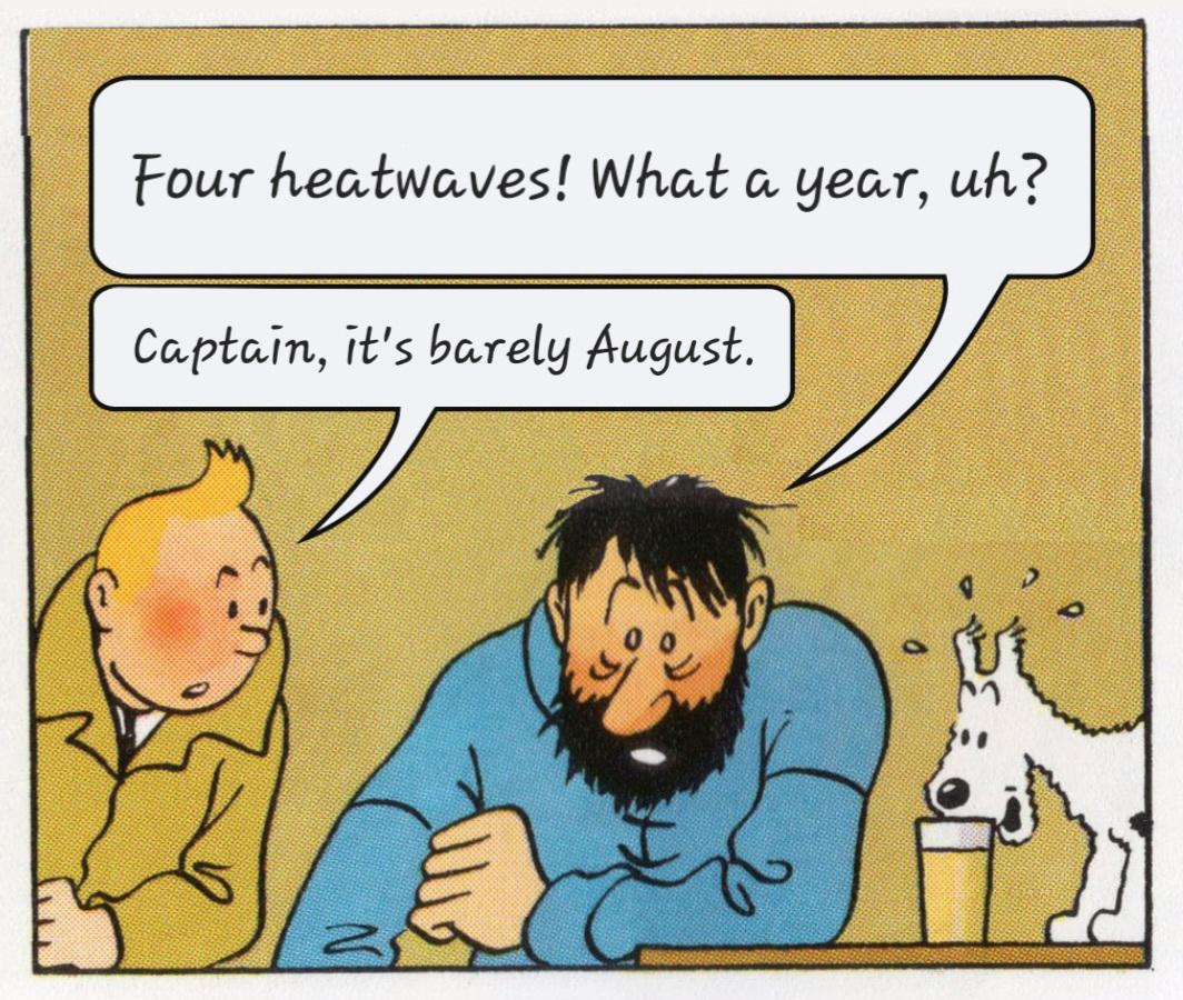 What a week? Meme:
Captain Haddock says: "Four heatwaves! What a year, uh?"
Tintin answers: "Captain, it's barely August."

