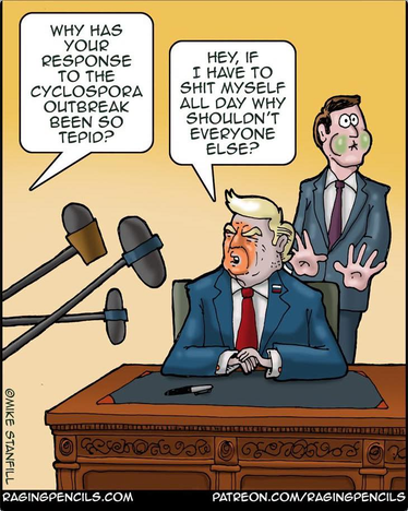 Posted media
