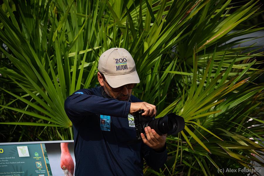 Zoo videographer