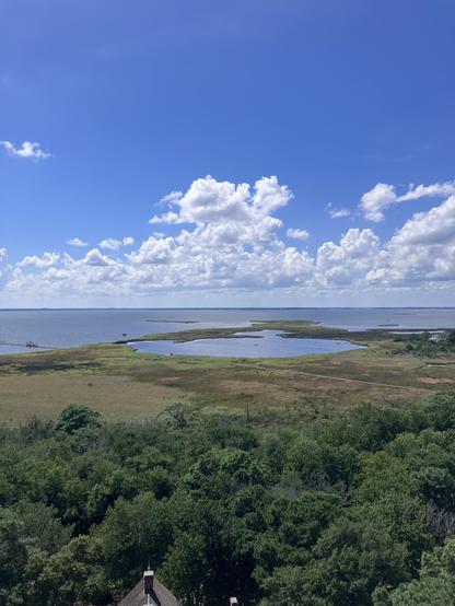 Looking east towards the Atlantic, across some marshy weedy low lying areas. The sky is bright blue with white puffy clouds here and there. 