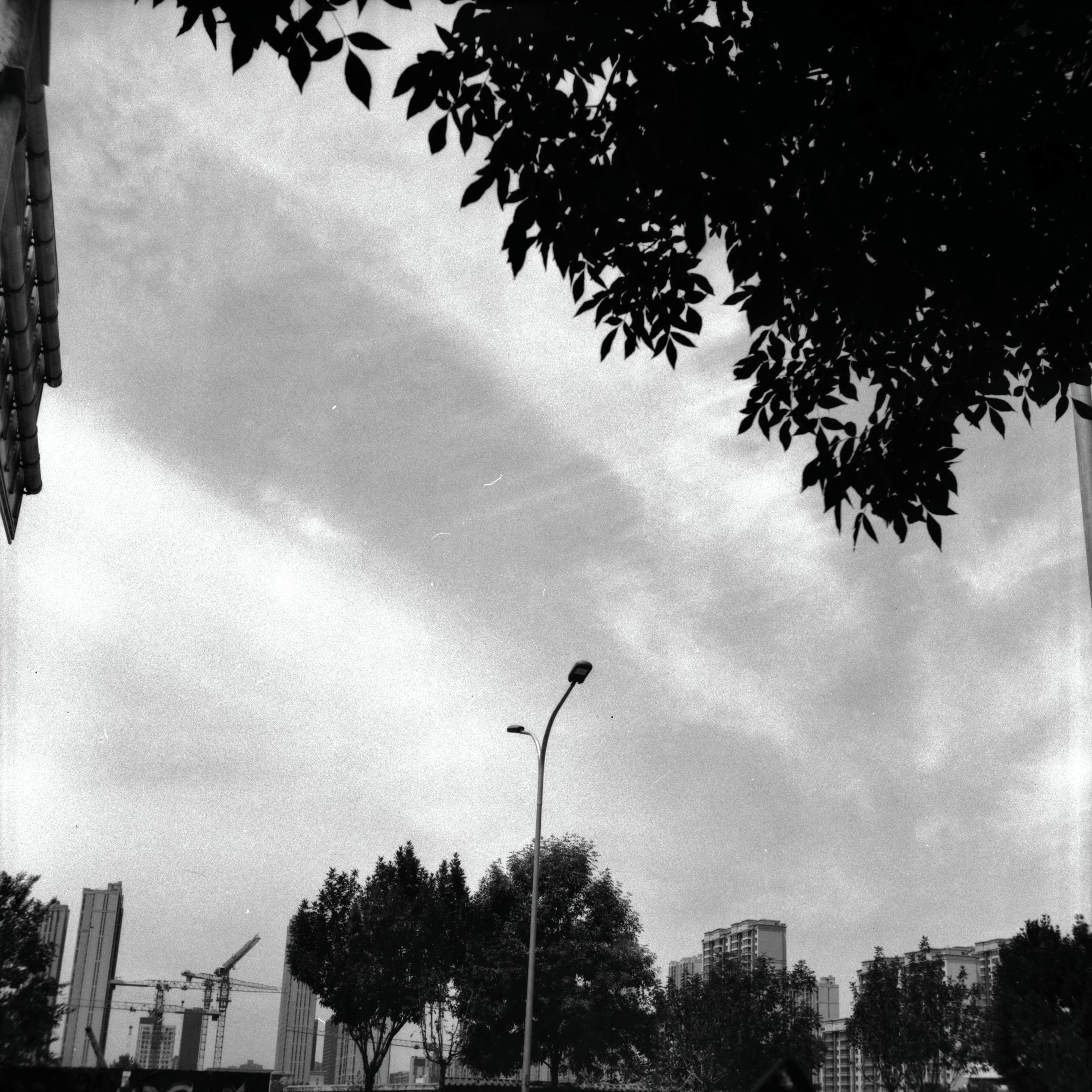 Lucky LUCKY SHD 100 (6x6)

English
A black-and-white photograph capturing a view of the sky partially obscured by tree branches in the foreground. A tall street lamp is visible on the right side of the image. In the background, there are several high-rise buildings under construction, with cranes visible above them. The sky is mostly cloudy with patches of light breaking through.
中文
一张黑白照片，前景是树枝部分遮挡了天空的视野。图像右侧可见一盏高大的路灯。背景中有几栋正在建设中的高层建筑，上方有起重机。天空大部分被云层覆盖，但有光线透过云层照射下来。