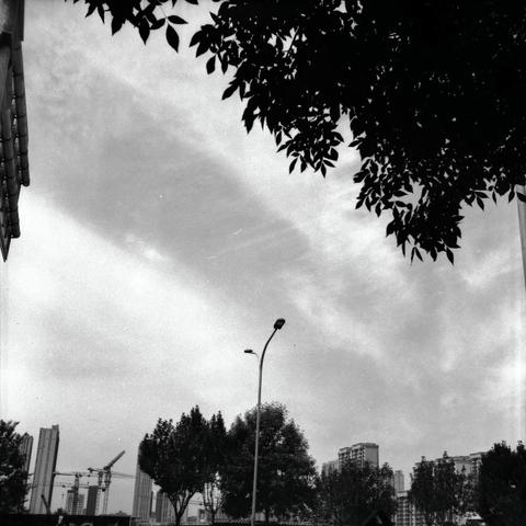 Lucky LUCKY SHD 100 (6x6)

English
A black-and-white photograph capturing a view of the sky partially obscured by tree branches in the foreground. A tall street lamp is visible on the right side of the image. In the background, there are several high-rise buildings under construction, with cranes visible above them. The sky is mostly cloudy with patches of light breaking through.
中文
一张黑白照片，前景是树枝部分遮挡了天空的视野。图像右侧可见一盏高大的路灯。背景中有几栋正在建设中的高层建筑，上方有起重机。天空大部分被云层覆盖，但有光线透过云层照射下来。