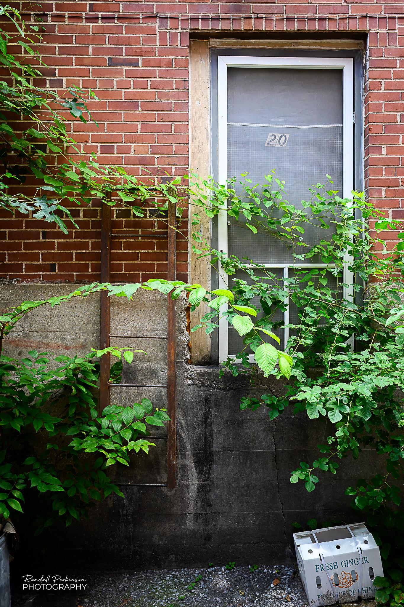 A door in a brick building opens onto an alley without a steel ladder on the side of the building to climb down the four or five feet to the pavement.  There are weeds and vines growing across the image that show that this door hasn't been used in a long time.
