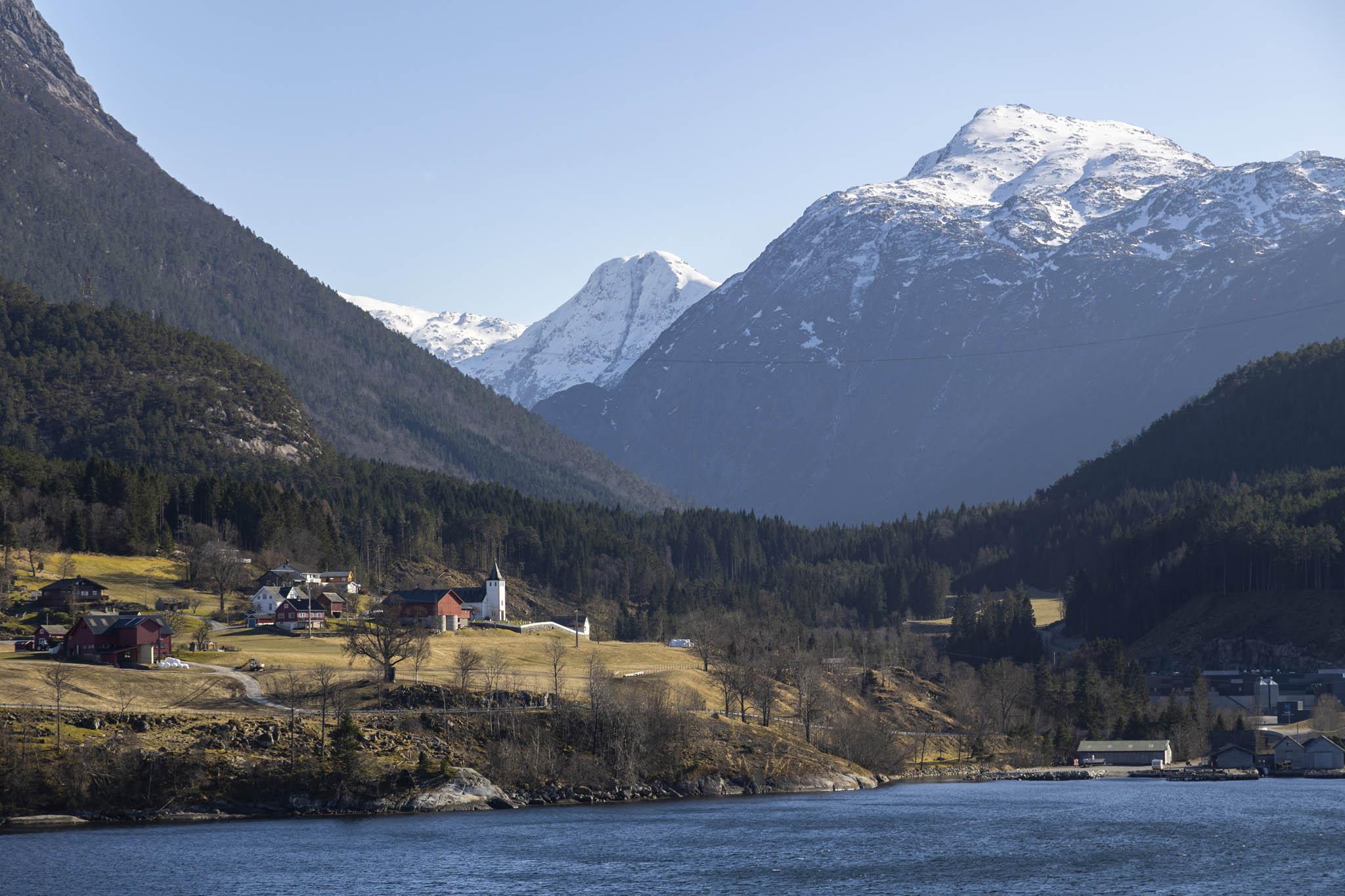 We're on a ship on a wide fjord looking across to land. It's a bright, sunny day but there's a cool tone and the landscape tells us that it's chilly. Pale, yellow-green grass forms a low plateau set just back from the water's edge and serves as the base for a spread-out village of isolated houses and a white-walled church with tower and black roof. A dense gathering of trees serves as a border behind the village before mountains rise up behind and dwarf the man-made structures in the foreground. We can see the sloping side of one tree-covered mountain to the left and the ground rises towards the right into dark forest-land. In the distance, pale with haze, ice and snow-capped mountains form a range under the crisp blue sky.