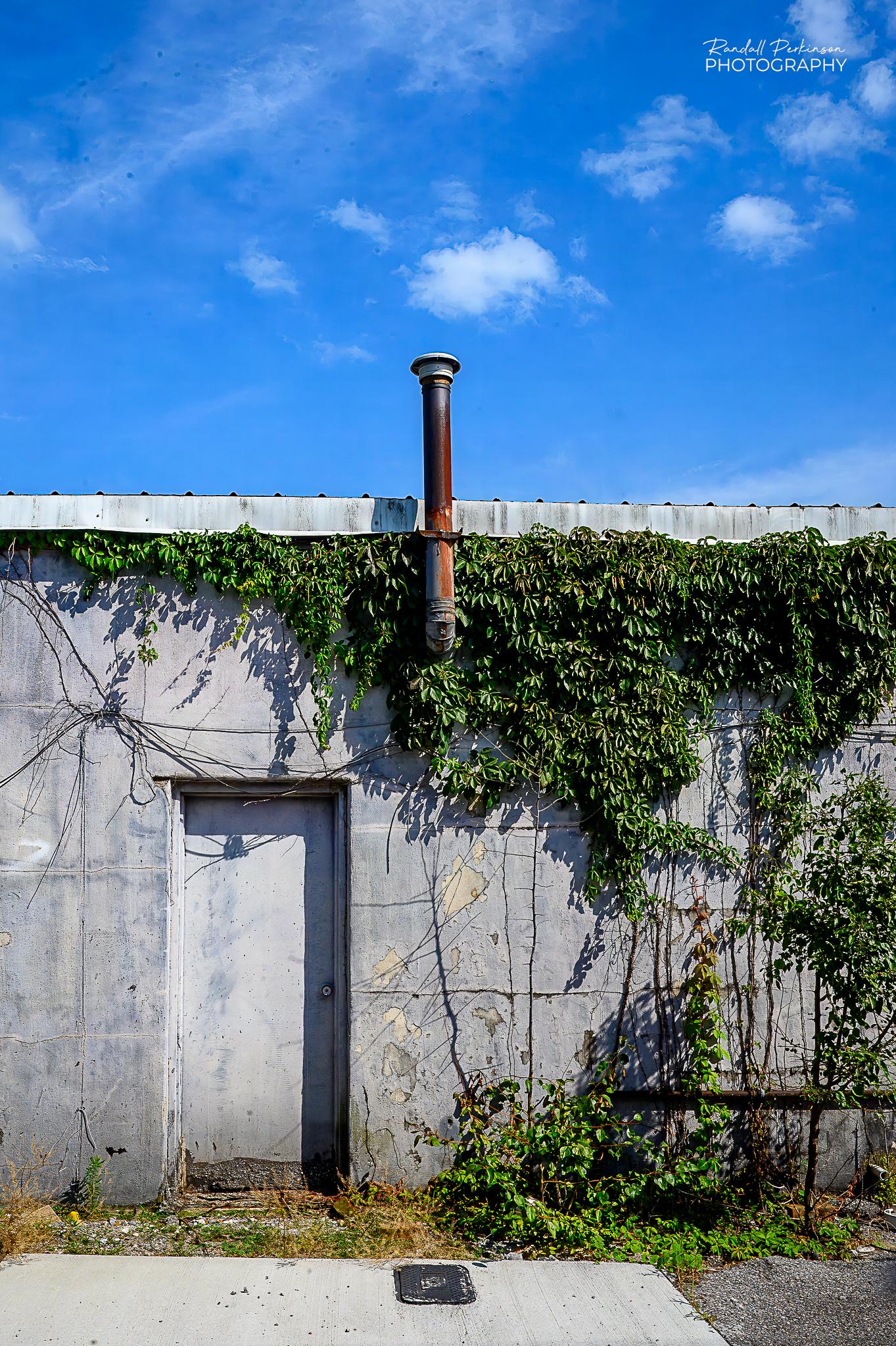 The back of a one story concrete building with an entry door and an exhaust pipe coming out of the wall and rising above the roof.  The wall is mostly covered by ivy.