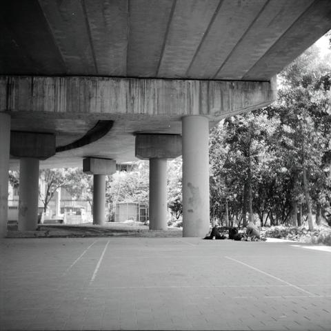 Lucky LUCKY SHD 100 (6x6)

English
A black and white photograph of the underneath of an overhead bridge. The pillars are visible in the background with dense foliage surrounding them. Two people are lying on the ground.

中文
一张高架桥下部的黑白照片.桥墩在背景中显而易见,周围也有明显的植被覆盖.桥下躺着两个人.