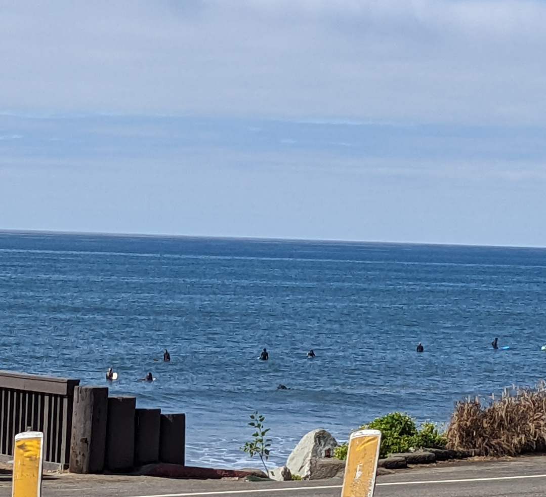 surfers in the water