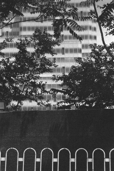 Ilford HP5 Plus 400 (FF)

English
A black and white photograph of a skyscraper that stands behind a construction wall and a partially seen metal fence. The skyscraper is semi-blocked by dense foliage. 

中文
一张黑白照片。照片中一个建筑工地隔墙背后一栋摩天大楼。隔墙前方有一个金属围栏。大楼被树叶部分遮挡。