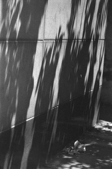 Ilford HP5 Plus 400 (FF)

English
A black and white photograph of a corner with some dry leaves on the ground. The wall is of a grid pattern with heavy shadows cast by trees around.

中文
一张黑白照片。照片中地面上有干掉的叶子。格纹的墙壁上有树叶的影子。