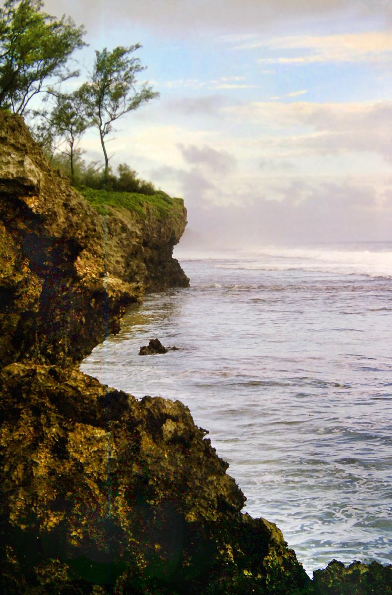 It is very late in the afternoon. The partly cloudy sky has patches of light blue, with low clouds and fog along the horizon. To the right is the blue green ocean, graying in the fading light. A low point of land is just visible through that low cloud. To the left are rugged naked brown fossilized coral sea cliffs, almost vertical, dozens of feet (20-30 meters) high. A rock of the same material is just offshore. Although the cliff faces are barren, there is lush green ground cover growing right up to the edge at the top, with green shrubs and trees growing from it starting a few feet (1-2 meters) in. The tall, slender trees are swaying gracefully in an onshore breeze.