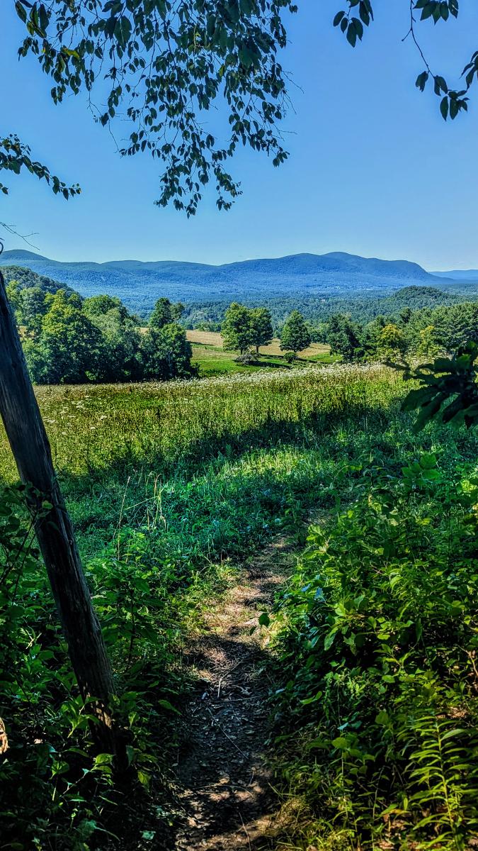 A cloudless soft blue summer sky. We are emerging from a shady forest onto the edge of a large sloping field high on a mountainside. We are looking down across wooded foothills to a long narrow valley below. The field is bathed in sunshine. The lush green grass has been mowed not long ago. It is several inches high and sprinkled with dozens of white blossoms. This field descends towards lower fields that appear to be pastures. The fields are divided by a line of stately well-spaced trees and a grove to our left. There are glimpses of a few more distant fields, but most of the scene beyond the fields is covered with a forest split almost equally between evergreens and hardwoods. The long valley is mostly wooded with strips of fields and a few buildings visible. Beyond that the blue green slopes of a long, forested mountain range rise hundreds of feet above the valley. Several rounded peaks are visible.