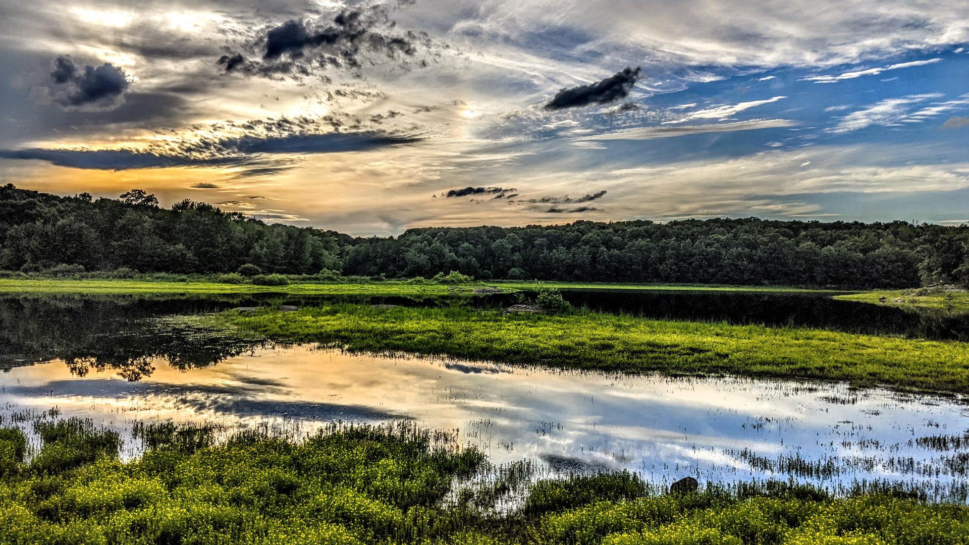 Summer evening beside a large lake. A blue sky, still visible on the right side, is becoming filled with streaky white high clouds with some small dark and dramatic clouds below. The unseen sun is getting low in the sky, adding a golden color to the streaky clouds along the horizon. Below that, a low wooded ridge rises above the far shore of the lake. The near shore of the lake and a very low, narrow peninsula about 100 feet out create a small cove in front of us. There are a few small ripples on the surface of the lake, which reflects the sky and far shore. Both lake shores and the peninsula are covered with a carpet of ground hugging plants with very small green leaves that resembles grass from a distance once you are far away enough to not be able to pick out the leaves. Thousands of tiny yellow flowers are sprouting from that ground cover. A few gray boulders and small flowering shrubs also poke through in spots.