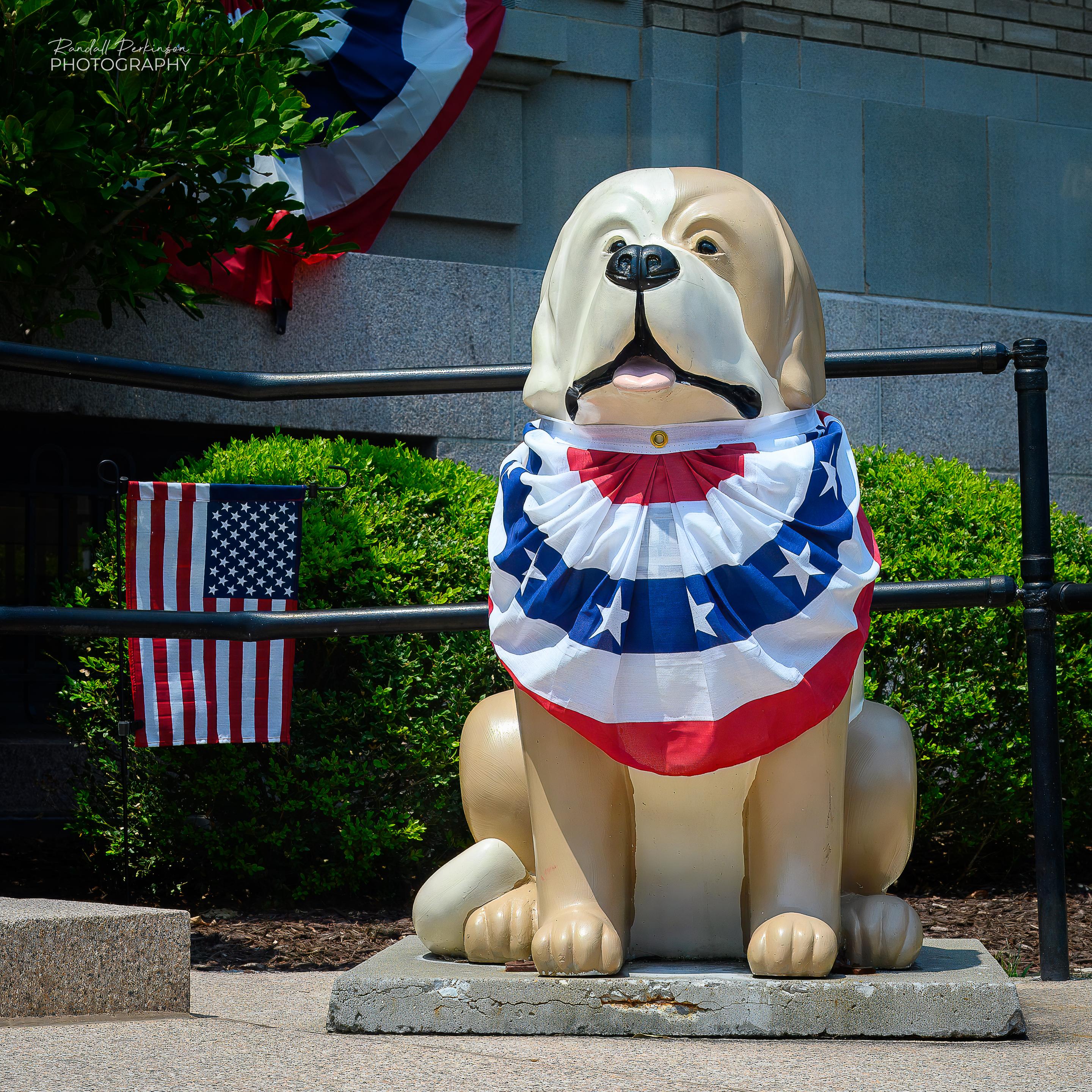 A statue of Lewis and Clark's dog, Seaman, adorned in a red, white, and blue banner for America's 250th Anniversary.