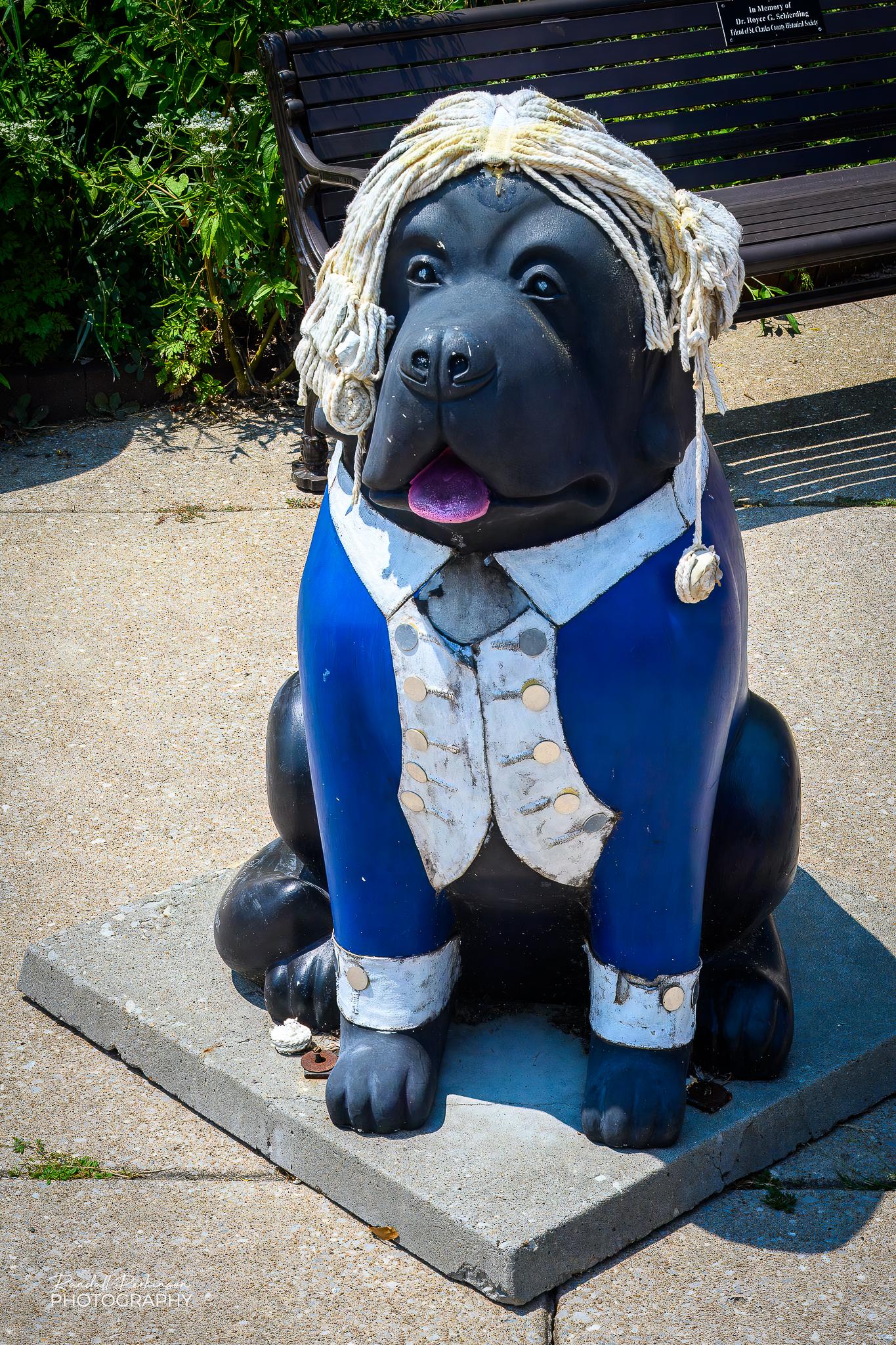 A statue of Lewis and Clark's dog, Seaman, adorned in a blue and white early 1800's military jacket and wig for America's 250th Anniversary.