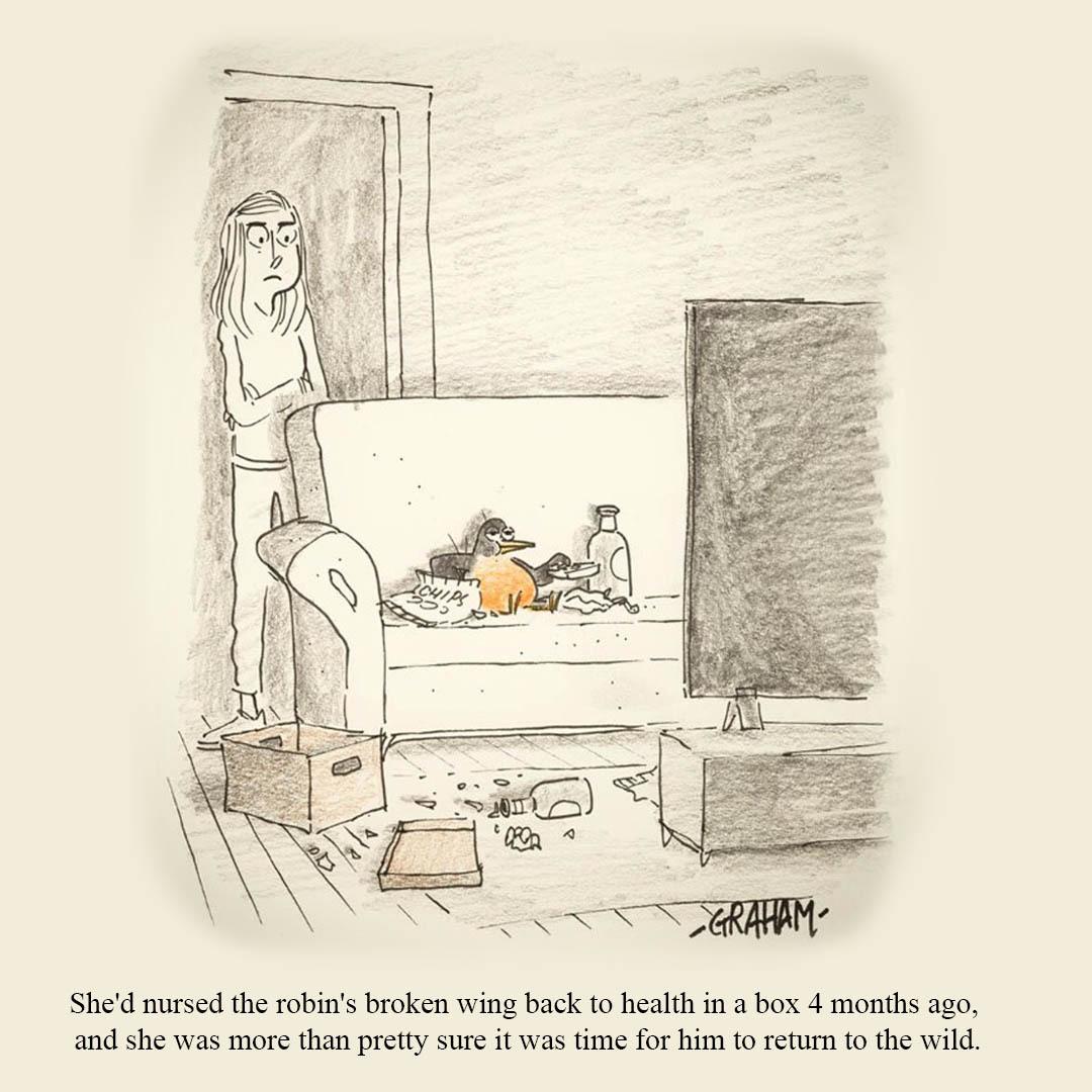 A frustrated woman stands in a doorway watching a rescued robin loaf on the sofa amid chips, a bottle, and clutter while staring at the TV, implying the bird refuses to return to the wild. Caption reads "She'd nursed the robin's broken wing back to health in a box 4 months ago, and she was more than pretty sure it was time for him to return to the wild."