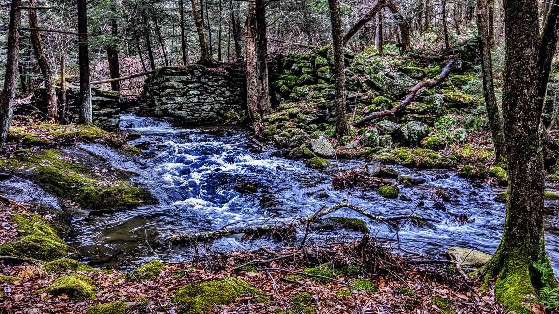 A wide stream runs through a narrow wooded ravine past the remnants of an old stone mill. Most of the trees are hemlocks and pines, with a few leafless hardwoods. The forest floor is very rocky and carpeted with fallen leaves and tree limbs, moss, ferns and small leafy shrubs. The stream is running high and fast, runoff from a storm that is just winding down to light drizzle.