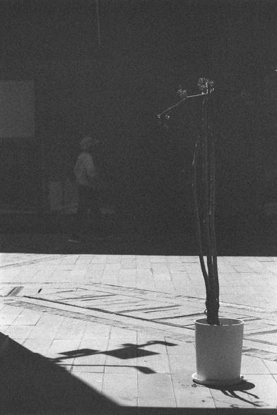 Ilford HP5 Plus 400 (FF)

English
A black and white photograph of a pot of a plant that seems to stem for a certain height. The pot stands in the sun. The ground is grid patterned and highly contrasted. There is a person in the background vaguely seen.

中文
一张黑白照片.一盆植物在地上.植物长到相当的高度.花盆在阳光里.格子状花纹的地面,显示出强烈的对比.远处似乎有一个人在走动.