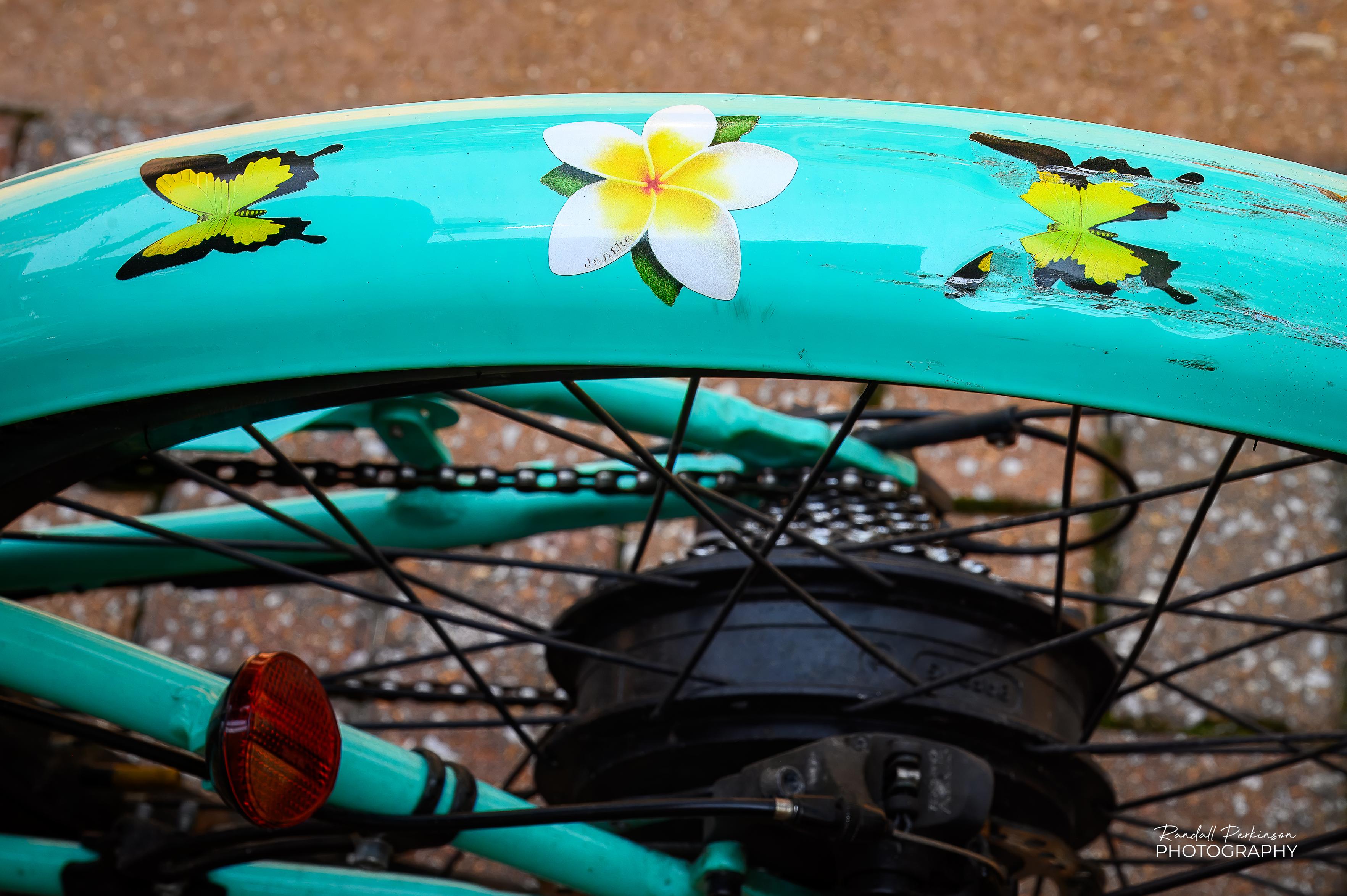 Looking down at the light green fender and back wheel of an ebike.  The fender has a flower and two yellow and black butterflies on it.