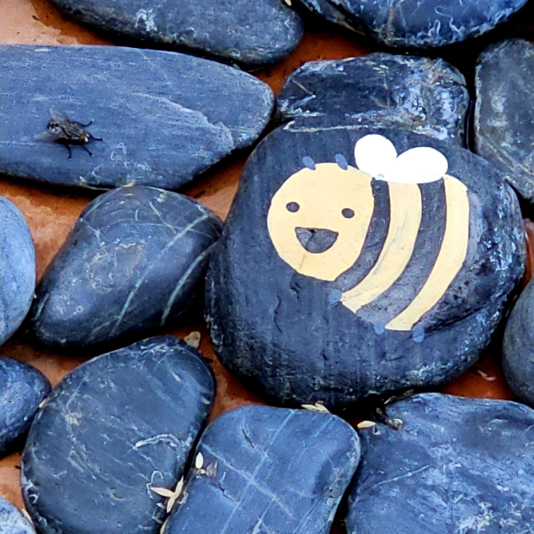 Black pebbles on a red ground. One of the pebbles has a bee painted on it, and another has a live fly sitting on it.