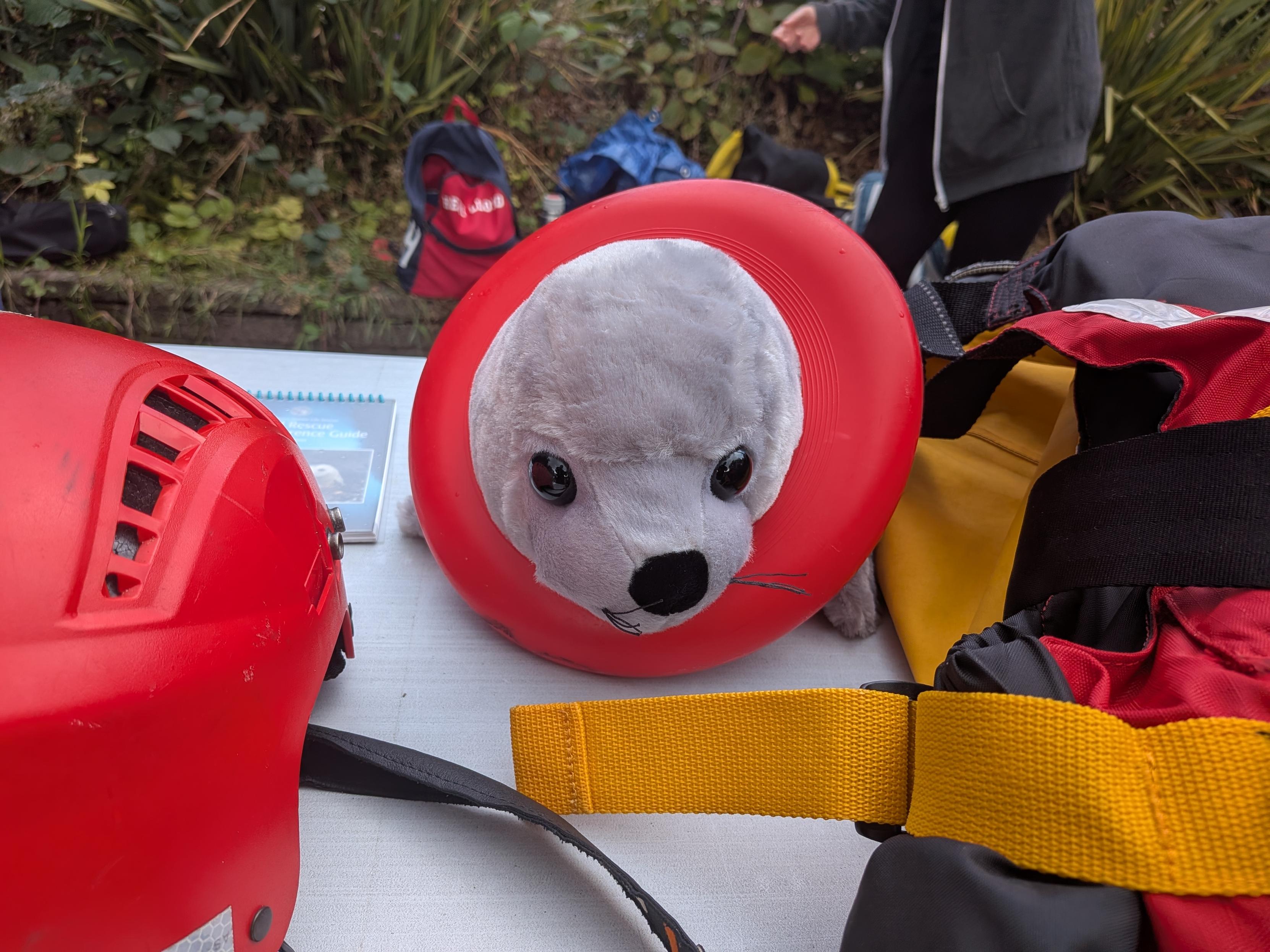 seal plushie with ring