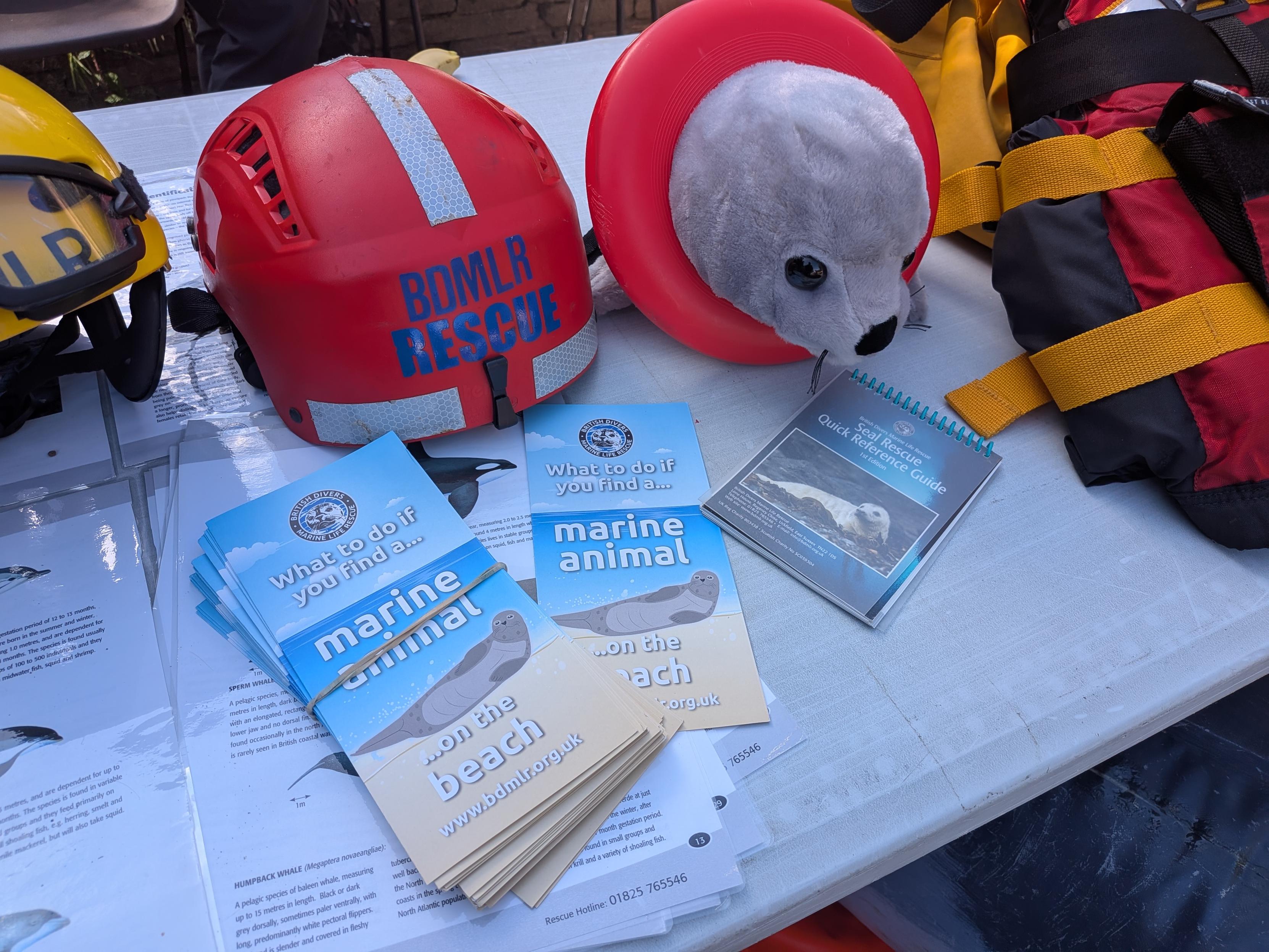 flyers for marine life