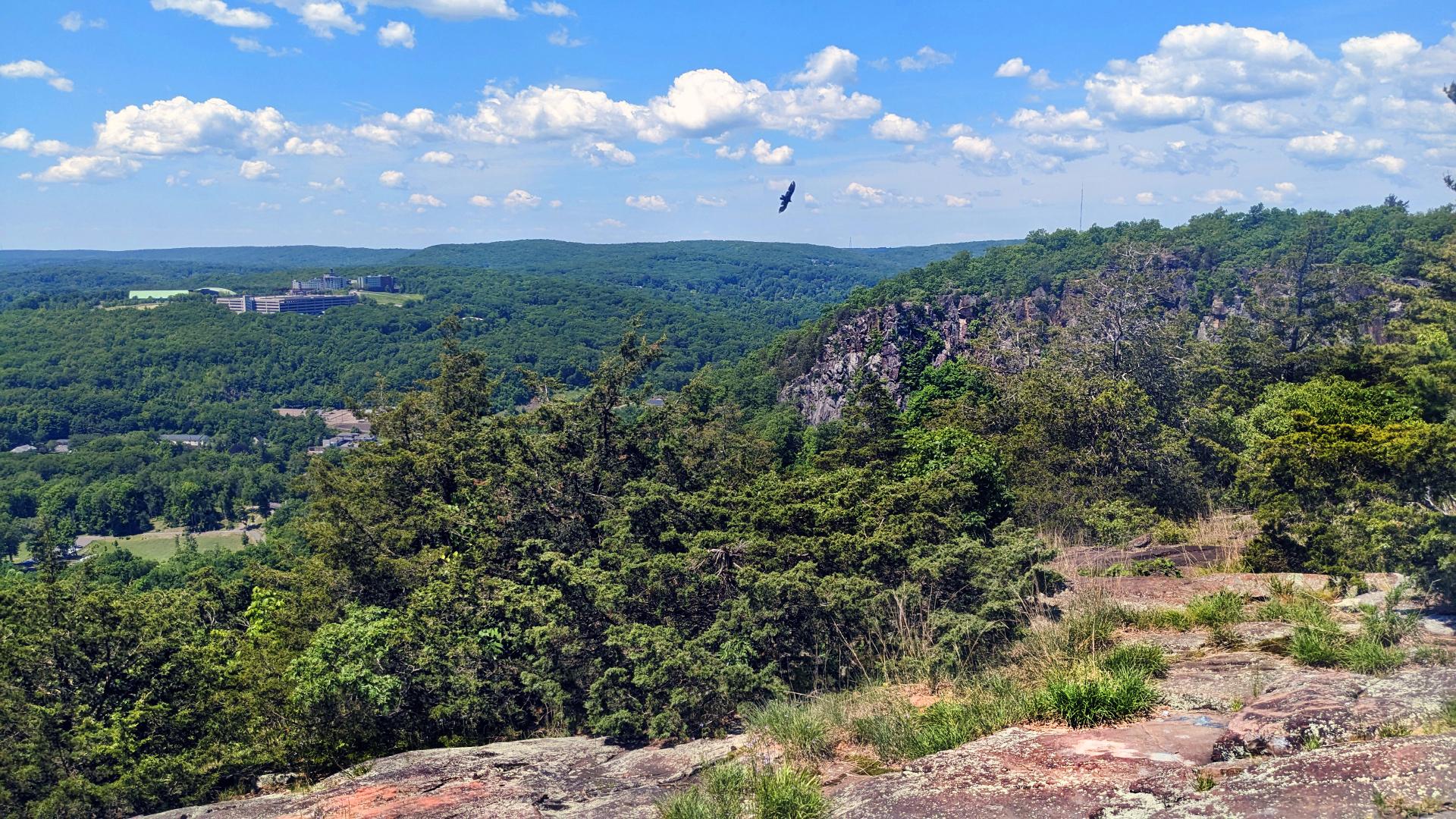 A deep blue sky with cotton ball fair weather clouds. From a fissured gray rock outcrop atop a mountain, we are looking out at a scene of mostly forest, broken by occasional houses and the buildings of two campuses of a university, one of which sits atop a hill. A forest of cedar and hardwoods rings the base of the outcrop, but does not block the views. The flank of a nearby peak facing us has impressive rock cliffs. Beyond that is a narrow valley and the hill with the campus. Beyond them, three long, relatively flat-topped ridges run along the horizon. A single turkey vulture soars majestically above the nearby cliffs.