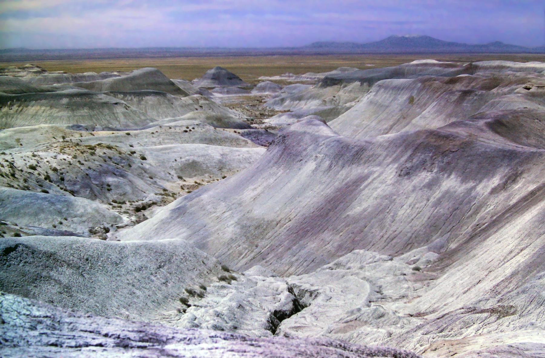 Beneath a deep blue desert sky with streaky white clouds we are standing atop cracked pinkish violet rocks looking down several hundred feet into a landscape of narrow shallow canyons and rock formations below. There are striations of color throughout: chalky white, blue gray,  pinkish violet. A scattering of olive green shrubs are the only signs of life in an otherwise barren landscape. Beyond the colorful hills is a sprawling flat grassland. Many miles away on the horizon, a lofty mountain range with several snowcapped peaks rises above that plain.